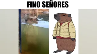 1 HORA DE MEMES EPICOS #300