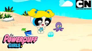 Os Tubabros tomam conta da praia | As Meninas Superpoderosas | Cartoon Network 🇧🇷