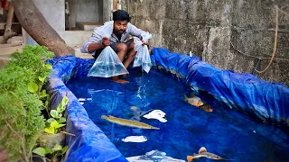 Turning Our POND🤑into MONSTER's🐠Pond🤩/JENISH KJ