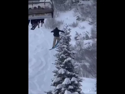 Mediappiness crew gets wild.