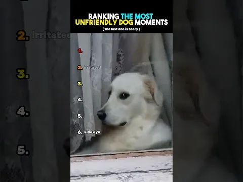 Ranking The Most Unfriendly Dog Mom