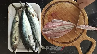 CANIN ÇEKTİ BİLİYORUM USKUMRU BALIĞI NASIL PİŞİRİLİR | DENİZDEN YENİ GELDİ USKUMRU NASIL TEMİZLENİR
