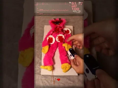 КИСИ МИСИ ПОПАЛА В АВАРИЮ/KISSY KISSY GOT INTO AN ACCIDENT
