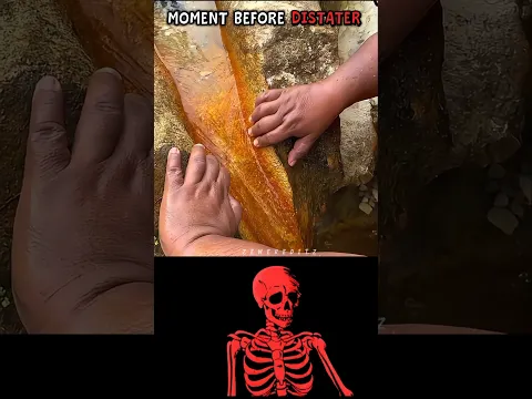 #aestheic