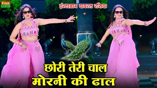 New Dj Rasiya  || छोरी तेरी चाल मोरनी की ढाल || Chori Teri Chal Morni Ki Dhal | DG Mawai Rasiya 2025