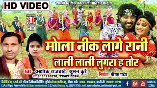 Mola Nik Lage Rani | मोला नीक लागे रानी Ashok Rajwade Suman Kurrey Cg Song Sargujiha Karma Dadariya