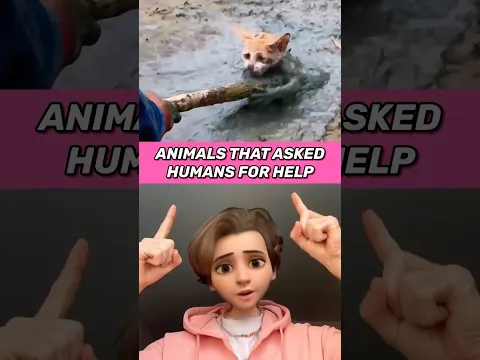 ANIMALS THAT ASKED PEOPLE FOR HELP 4K 🥹 #caughtoncamera #animals #shorts