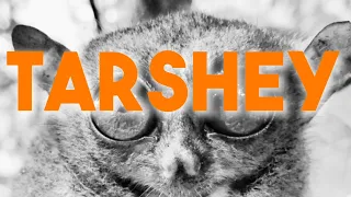 Abra - Tarshey