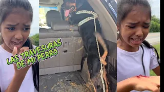 Nuevos TikTok de Luciana / Confundí A Mi Padre