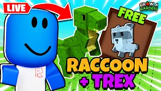 GIFTING Raccoons/T-Rex For Cancer!