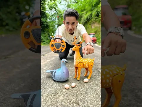 Amr Rc Birds And Rc Deer Ki  Unboxing💥
