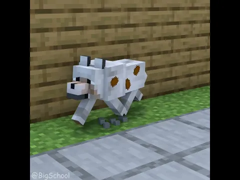 Does The Dog Deserve To Go To Heaven?