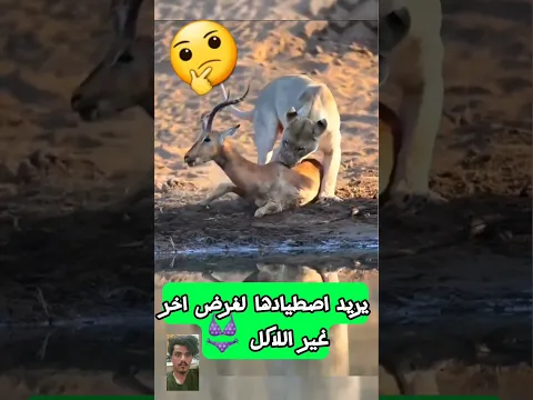مشهد نادر جدآ لن تصدق ما تراه #shorts#