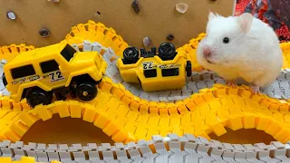 Hamster vs Car maze for pets - Escape in real life