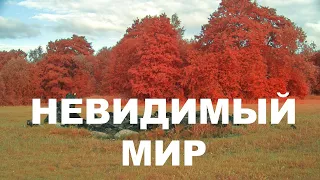 Мир в ближнем инфракрасном