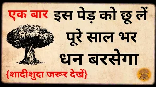 किसी भी दिन इस पेड़ को छूकर आ जाना उसी टाइम गरीबी मिट जायेगा? आगे आपकी मर्जी//.