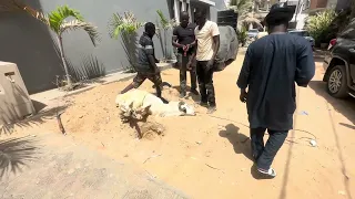 Tabasky 2023 chez Thierno Moulé Sow