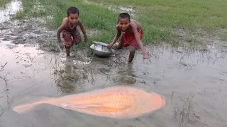 Amazing Hand Fishing - Smart Boys Catching Big Fish By Hand - Hand Fishing Video
