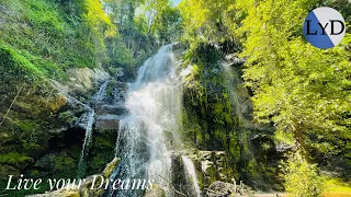 Sonido de AGUA para relajarse 💧💧💧| Grandes CASCADAS y RÍO fluyendo| NATURALEZA relajante MEDITACIÓN