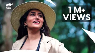 Deep in the Forest | Into the Green: Discovering Jharkhand | Animal Planet India