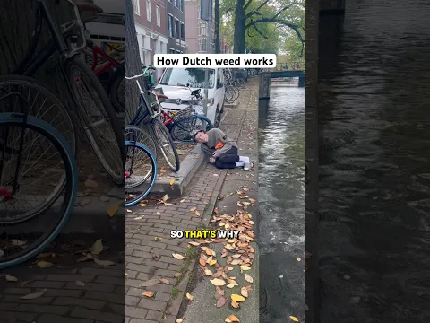 How Dutch weed works 🍟 #amsterdamguide #expatlife #coffeeshop