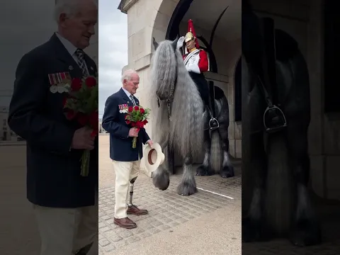 Respect and Honor 95 Year Old Veteran Visits Horse Guards.!!