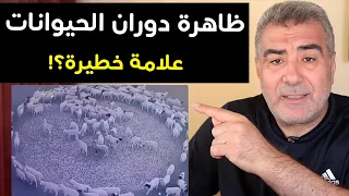 ظاهرة دوران الحيوانات