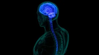 दिमाग के बारे मे रोचक तथ्य | Amazing Facts About Human Brain | Episode 99