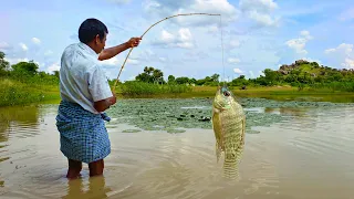 உன்னக்கு நேரம் நல்ல இருக்கு போல 🎣Big Fish Catched by Mama || mr.vf#shorts