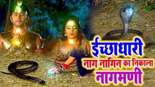 देखिये सपेरा और तांत्रिक ने कैसे निकाला इच्छाधारी नाग नागिन का #नागमणि - Rani Chatterji New Movie