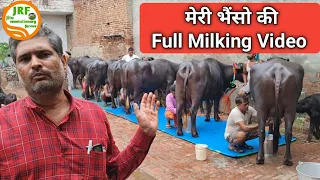 👍Full Milking Video- recorded @Ramu Sir's Farm @ Rohtak.👍