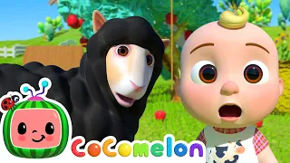 No More Muddy Sheep! ✨🐏 Fun Bathtime on the Farm! | 🍉 CoComelon - JJ's Baby Songs 🎶