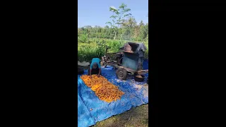 Innovative Modern Farming Machine for Rapid Mass Corn Shelling