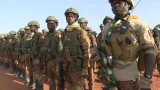 BF🇧🇫  Nouvelle Brigade d'Intervention Rapide (BIR 7) Basé à BOBO Dioullasso.