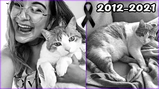 DESCANSA EN PAZ CAMPANITA 😿Le doy su último adiós..