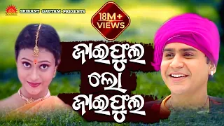 Jai Phula Lo | Full Video | Jai Phula | Govindachandra | Pami | Srikant Gautam | Braja Jena