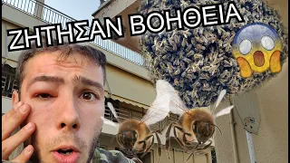 ΚΑΛΕΣΑΝ ΒΟΗΘΕΙΑ! ΧΙΛΙΑΔΕΣ ΜΕΛΙΣΣΕΣ ΣΕ ΠΟΛΥΚΑΤΟΙΚΙΑ😱