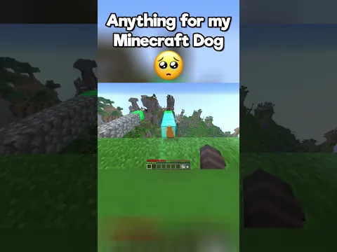 Always Help Your Minecraft Dog... 🥺