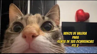 Grandes éxitos para divertirse con Valeria Pt2