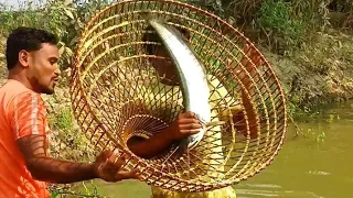 এত বড় মাছ জীবনে দেখি নাই