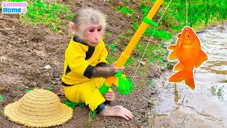 Monkey BiBi goes fishing to feed Ody cat Funny videos Animails