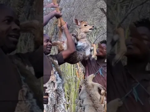 Hadzabe Hunt Successfully episode 2 #shorts
