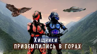 Хищники приземлились в горах (Кабардино-Балкария)