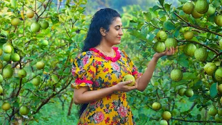 Guava Delights (Sri Lankan Recipes) 🍐 Making Cordial, Cotton Candy, Creamy Cake, and More Treats!