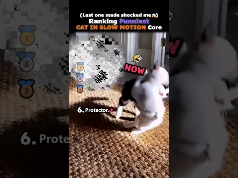 Ranking Funniest CAT IN SLOW MOTION Core Part.5🤣🐈#usa