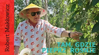 ROBERT MAKŁOWICZ WIETNAM odc.168  „Phú Quốc. Tam, gdzie pieprz rośnie".