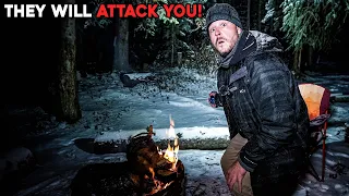 (THEY WILL ATTACK YOU!) IT WAS A MISTAKE CAMPING ALONE in the HAUNTED WOODS in a Snow Storm