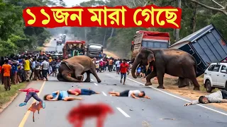 এজন্যই জঙ্গলি প্রাণীদের ক্ষেপানো উচিৎ নয়। Animal Encounter in public place Trading 