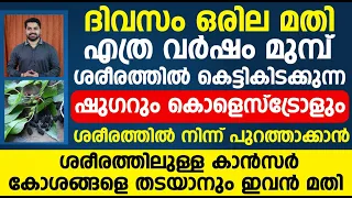 ദിവസം ഒരില മതി ഷുഗറായാലും കൊളെസ്ട്രോൾ ആയാലും ശരീരത്തിൽ നിന്ന് പുറത്താക്കാൻ | cholestrol malayalam
