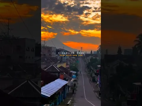 🔴 Story Wa Lirik Lagu Rungokno Kangmas Aku Gelo Ninggalke Kowe ║🎶Rasah Bali🔥#StoryWaTerbaru